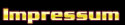 Glanz und Gloria Feuer und Schlangenshow, Girlstrip, Menstrip, Gogo, Erfurt